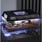 Reptile Nature Box Per L'Allevamento Di Rettili Con Luce USB All'Interno 31.5x22x12.5cm