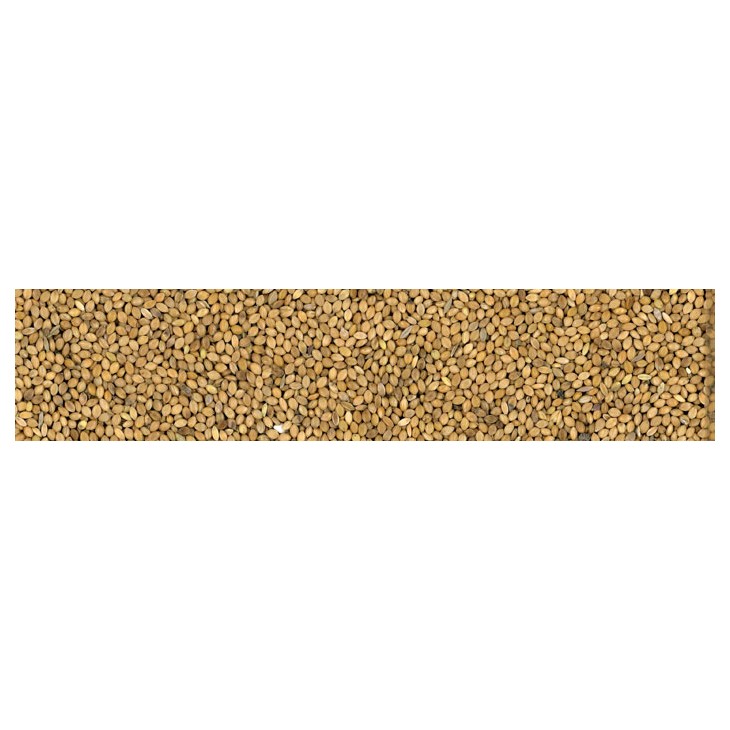 Manitoba Panico Moha 1Kg Scad. 05/23 Manitoba Panico Moha 1Kg Scad. 05/23