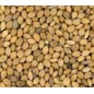 Manitoba Panico Moha 1Kg Scad. 05/23 Manitoba Panico Moha 1Kg Scad. 05/23