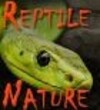 Reptile Nature